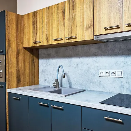 Studio Anenske Udoli-2 By Interhome * Harrachov