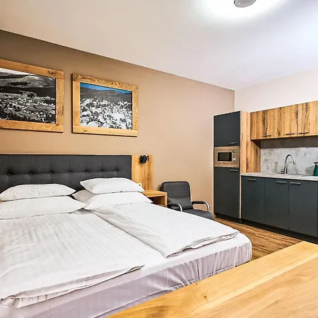 Studio Anenske Udoli-2 By Interhome Harrachov